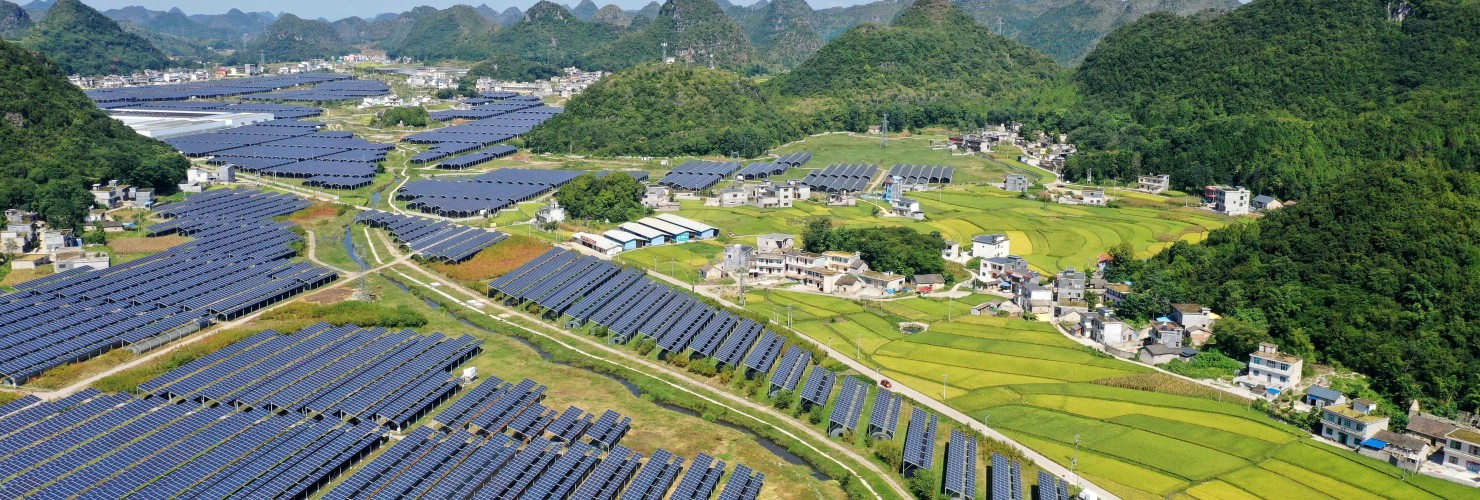 Photovoltaic and agriculture