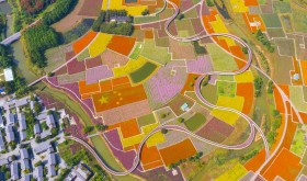 An aerial photo taken on September 29, 2021 shows a five-star red flag composed of autumn flowers in a patch of Flowers in Santaishan Forest Park in Suqian City, Jiangsu Province, China.